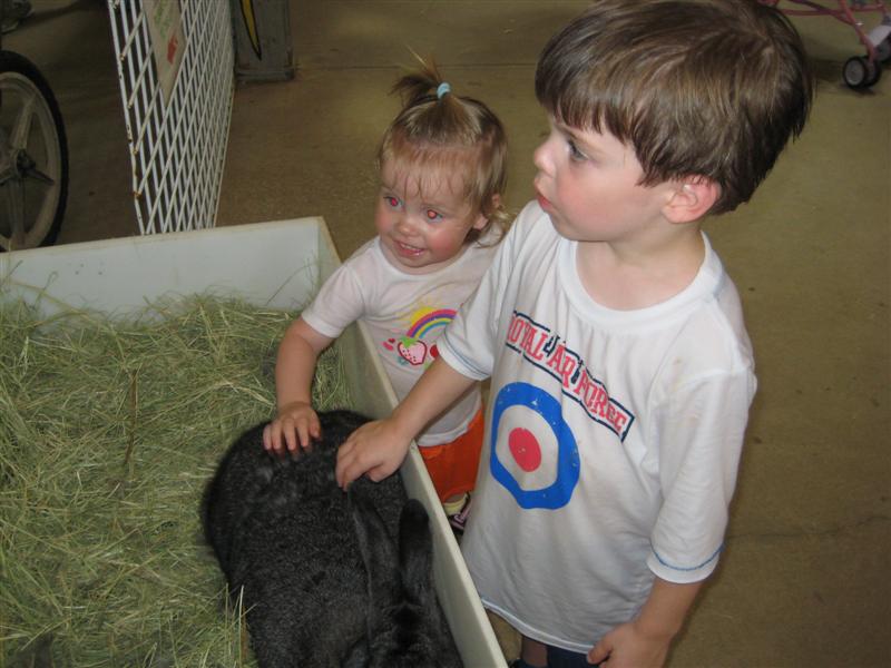 D-ZooWMummy (54).JPG - Look a Rabbit!  Like me!...